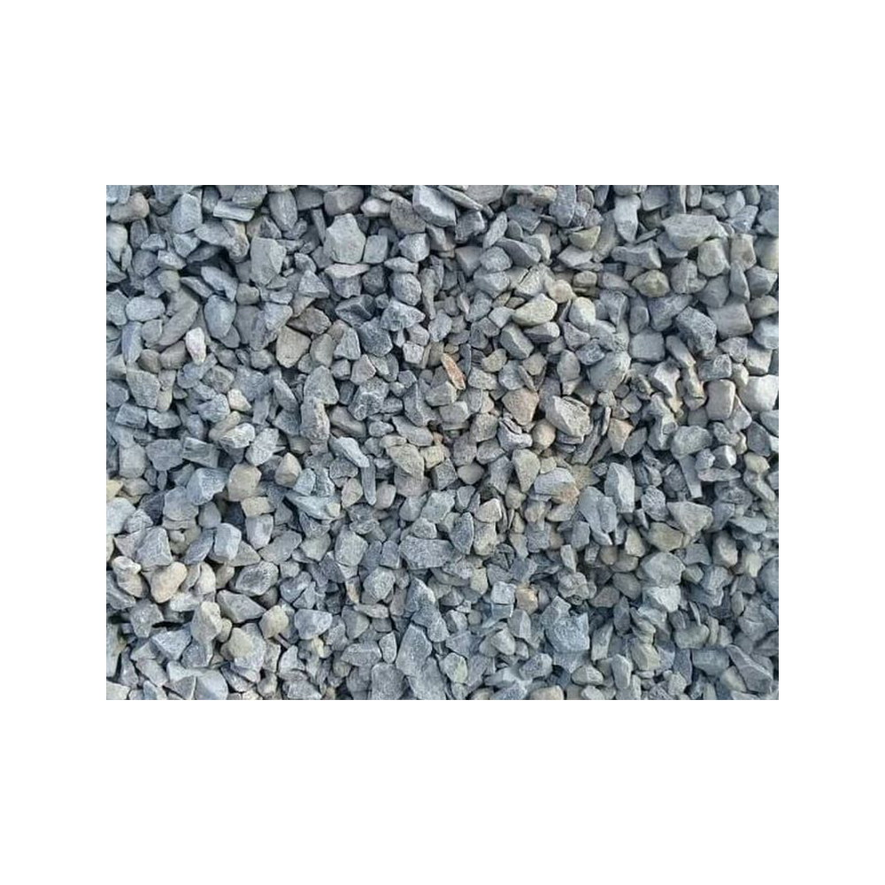 1000027809